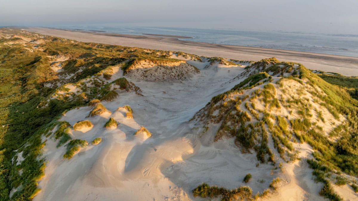 Duinen Terschelling